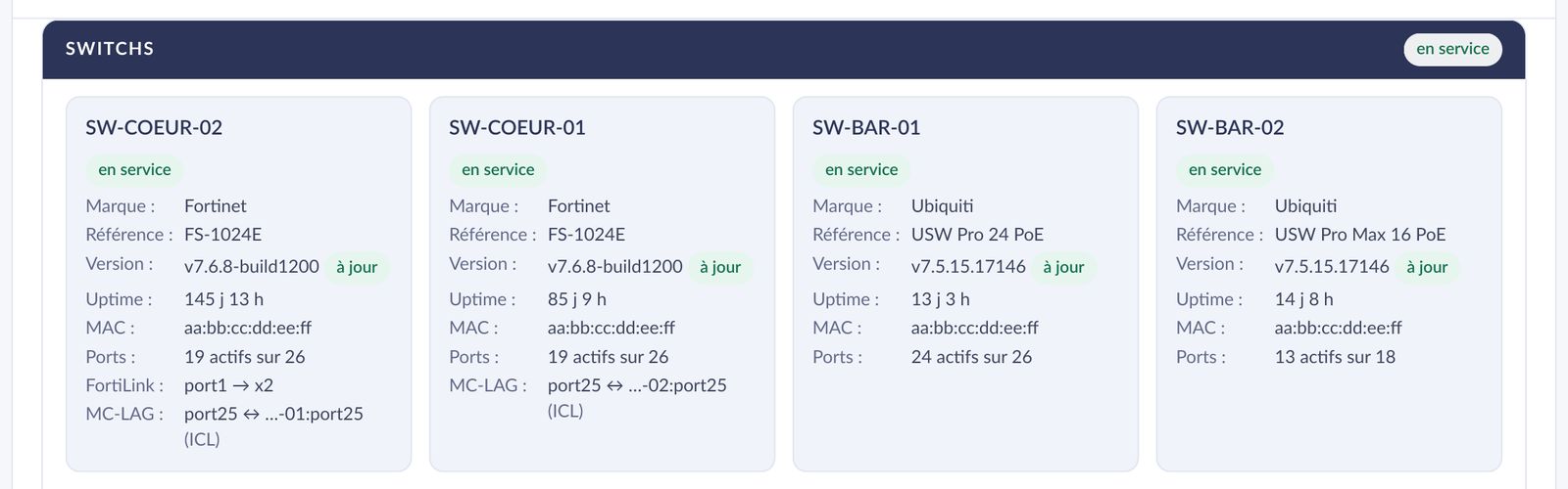 Encart Switchs de la vue d'ensemble : chaque switch avec marque, modèle, version, uptime et ports actifs